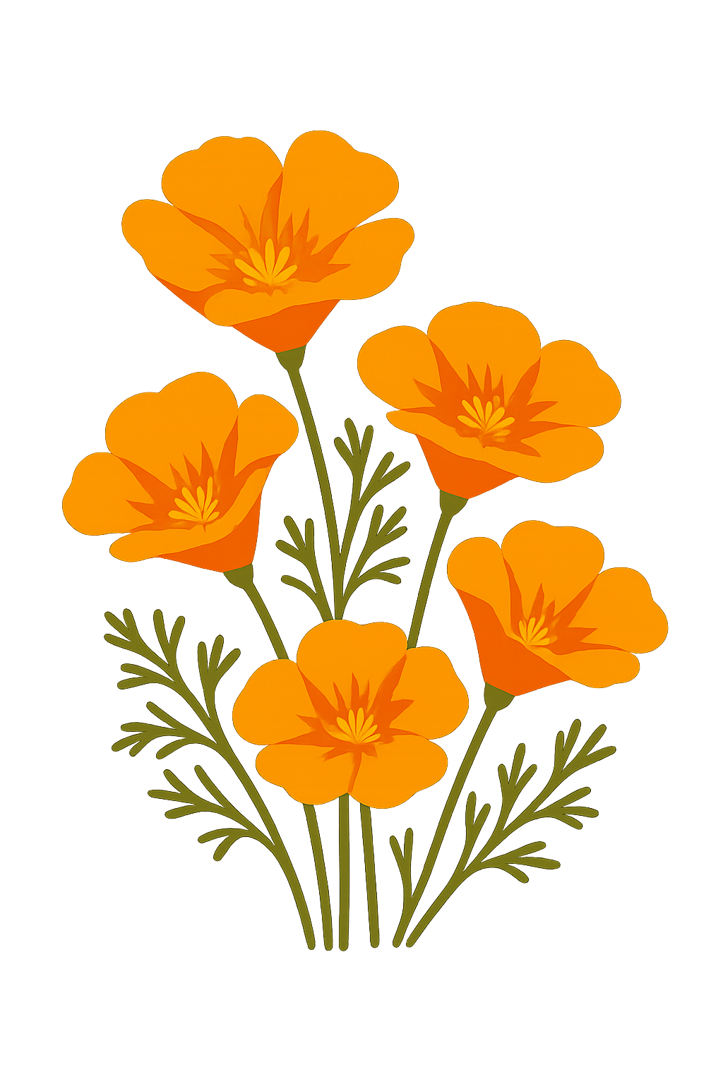Illustration of California poppies